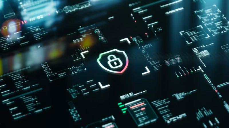 新余软件开发公司